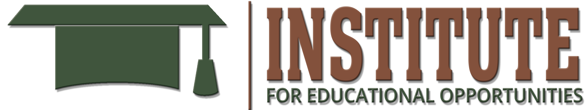 The Institute For Educational Opportunities